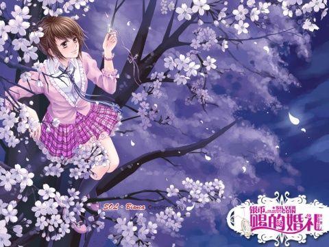安顺市“两会”新闻发布会召开 公布这些重要信息